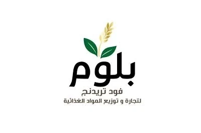 الخطة الاستراتيجية والنموذج التشغيلي لشركة بلوم التجارية